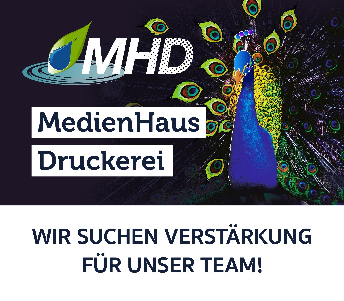 MHD-Stellenanzeige mit Pfau: „Wir suchen Verstärkung für unser Team!“