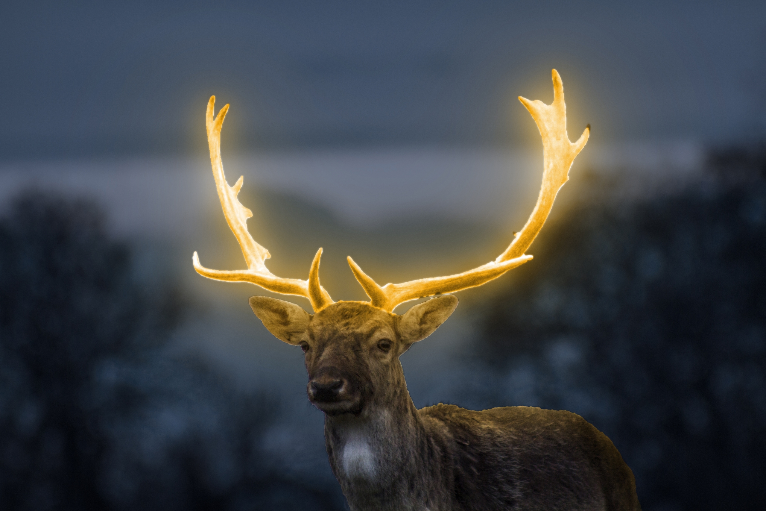 Ein Hirsch mit golden leuchtendem Geweih steht vor dunkler Landschaft bei Dämmerung